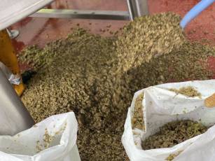 Brewer's Blog - What is an IPA?