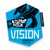 Vision (3.8%)